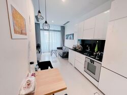 Robin Suites (D10), Apartment #529289011